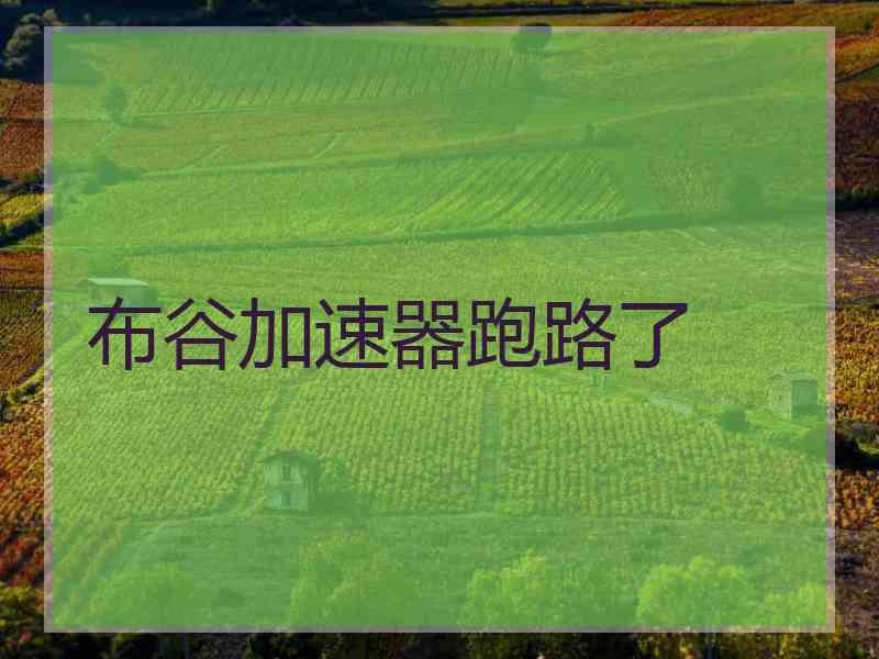 布谷加速器跑路了