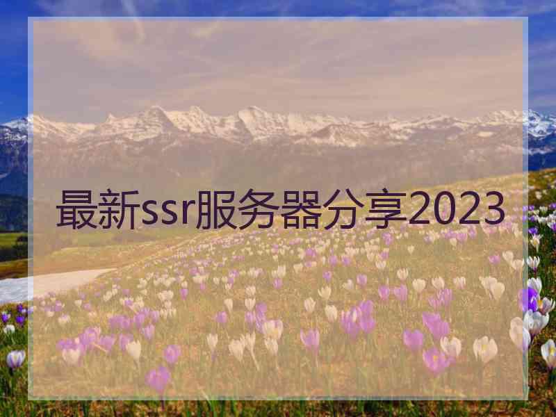 最新ssr服务器分享2023