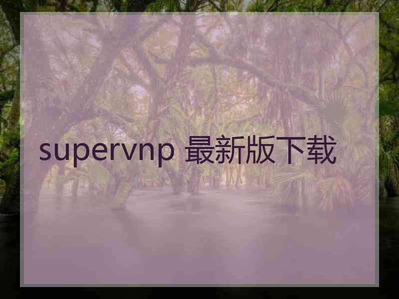 supervnp 最新版下载