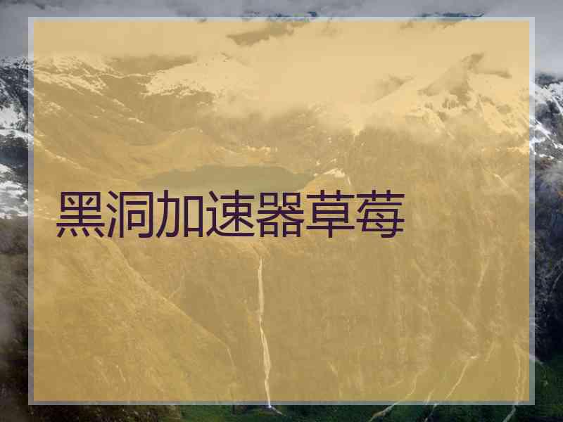 黑洞加速器草莓