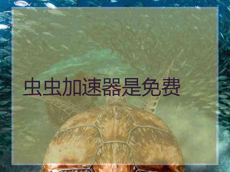 虫虫加速器是免费