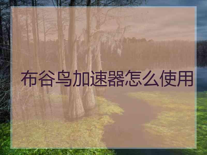 布谷鸟加速器怎么使用