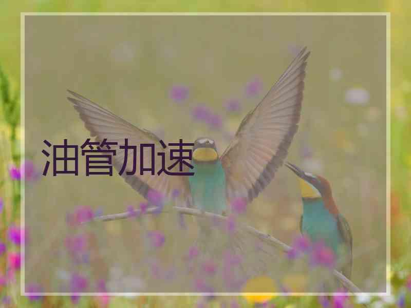油管加速