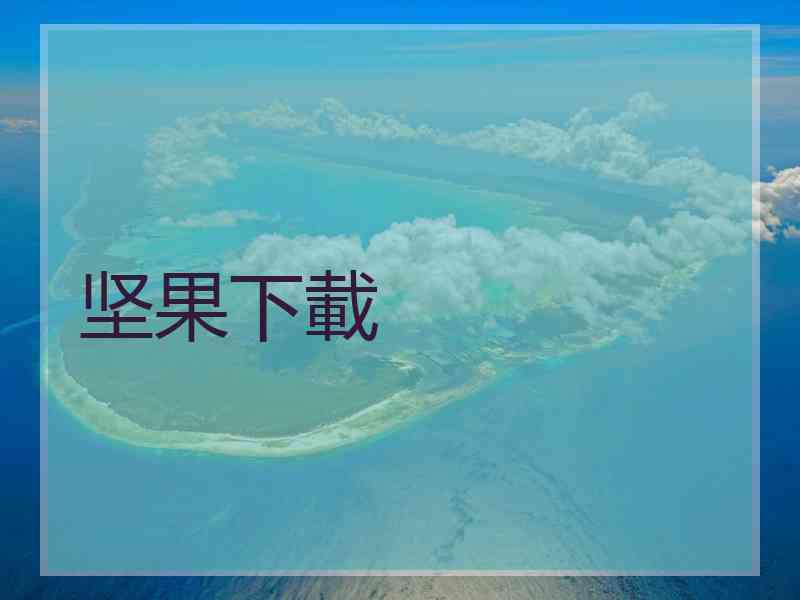 坚果下載