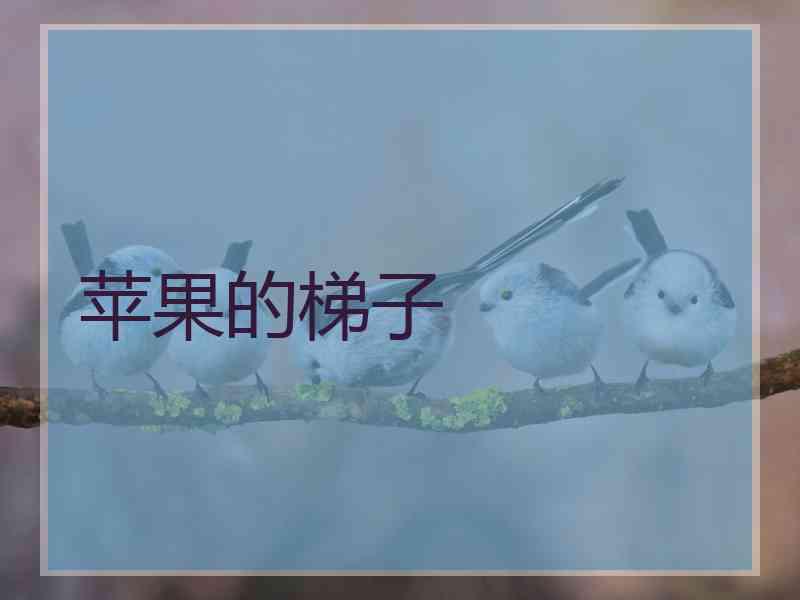 苹果的梯子