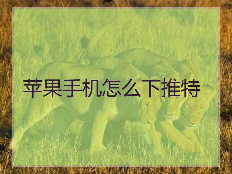苹果手机怎么下推特