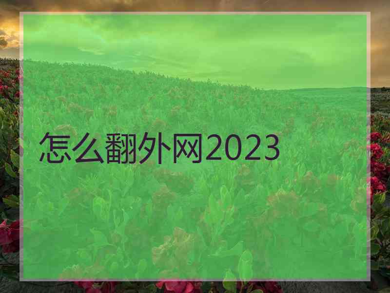 怎么翻外网2023