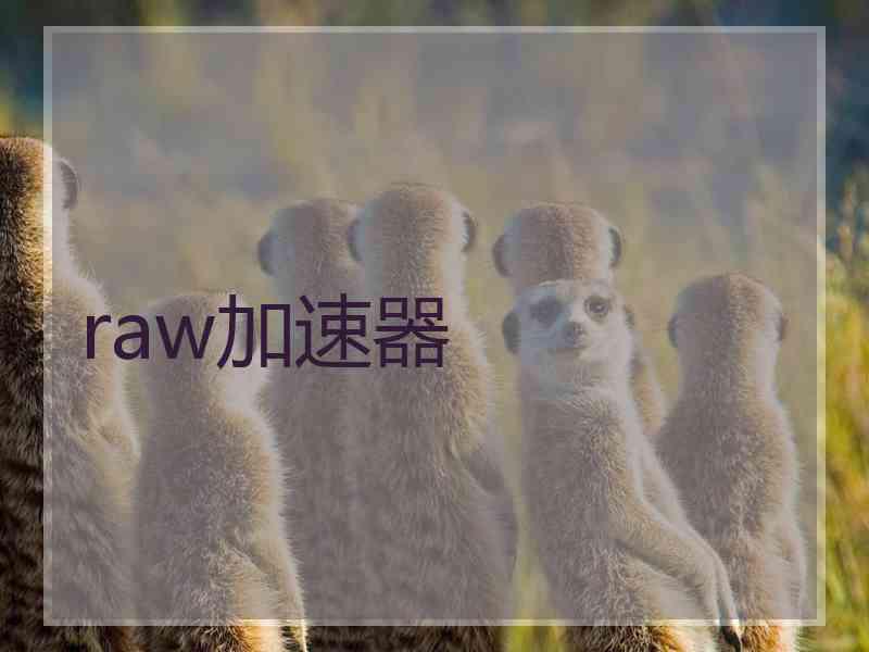 raw加速器