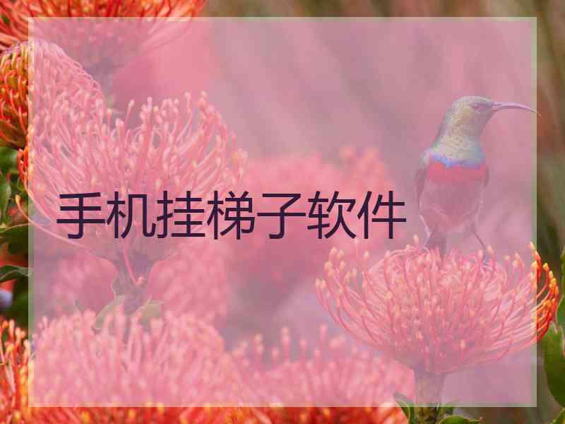 手机挂梯子软件
