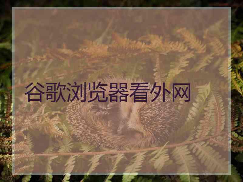 谷歌浏览器看外网