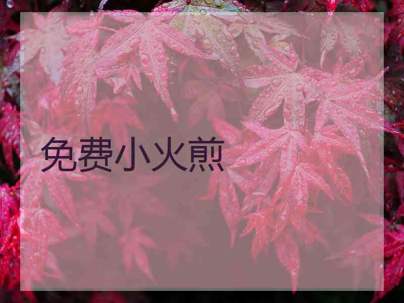 免费小火煎