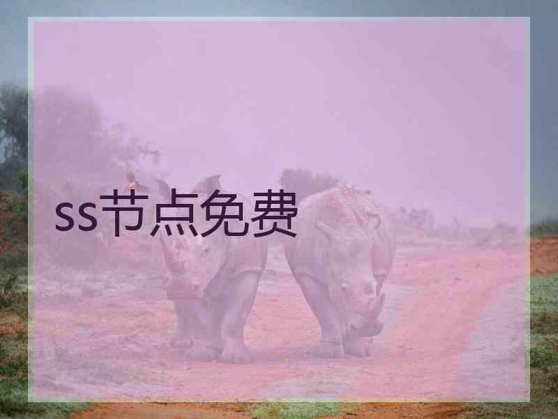 ss节点免费