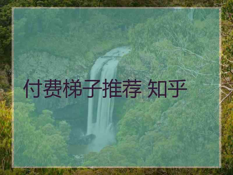 付费梯子推荐 知乎