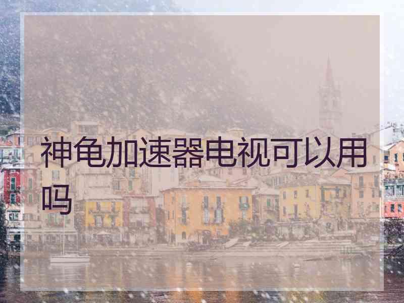 神龟加速器电视可以用吗