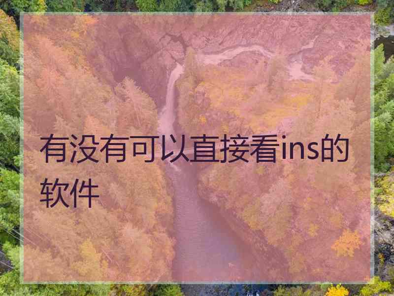 有没有可以直接看ins的软件