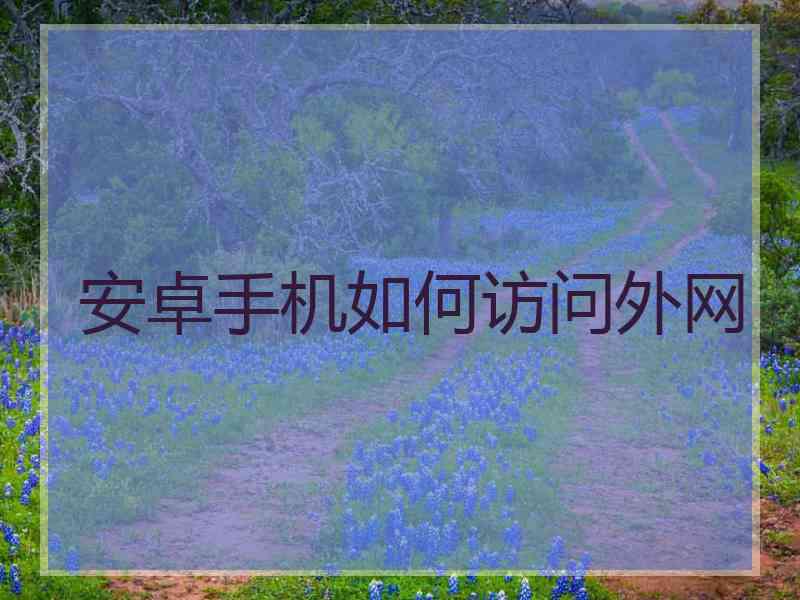 安卓手机如何访问外网