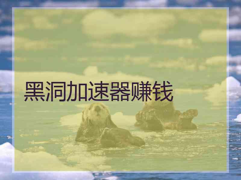 黑洞加速器赚钱