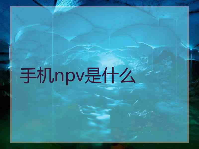 手机npv是什么