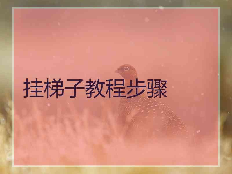 挂梯子教程步骤