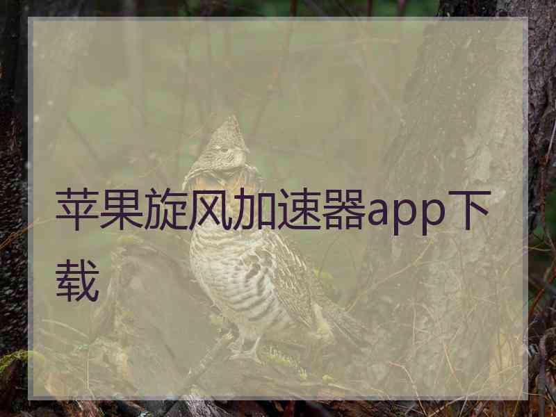 苹果旋风加速器app下载