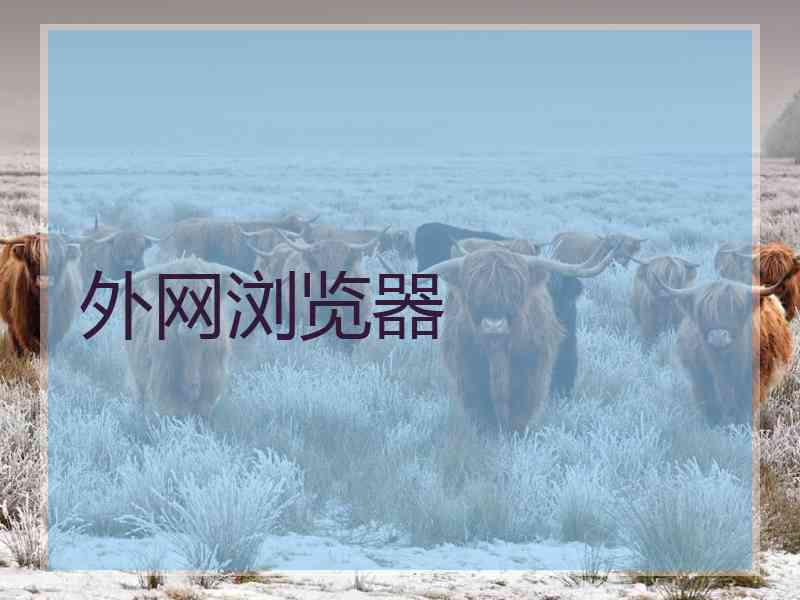 外网浏览器