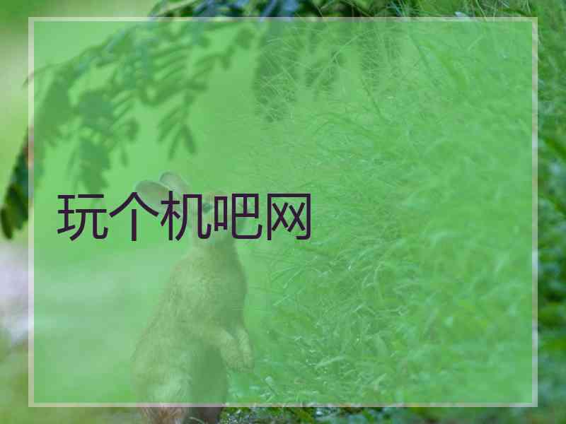 玩个机吧网