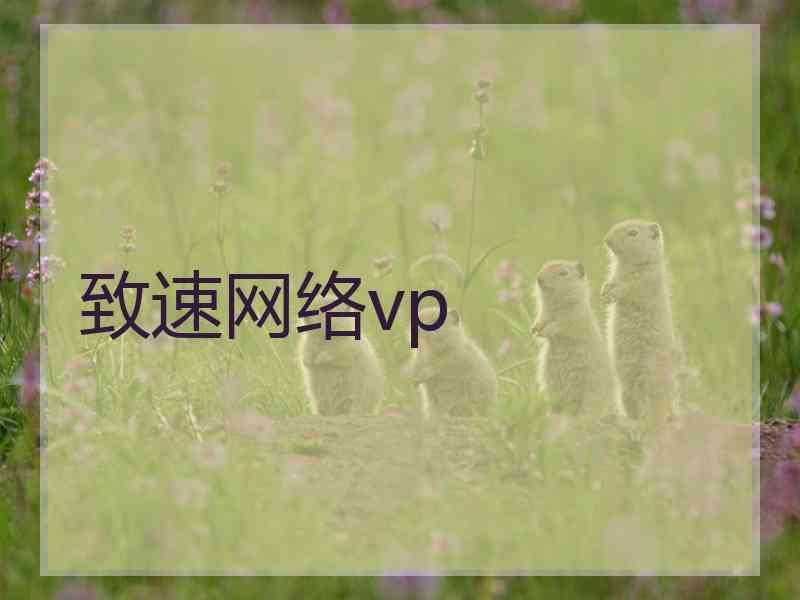 致速网络vp