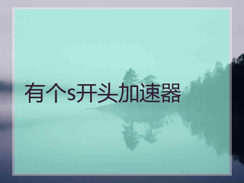 有个s开头加速器