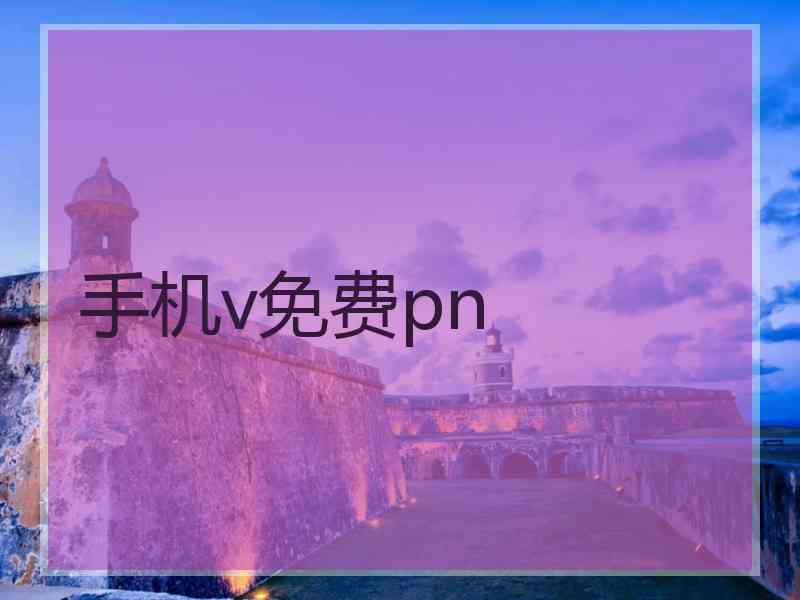 手机v免费pn