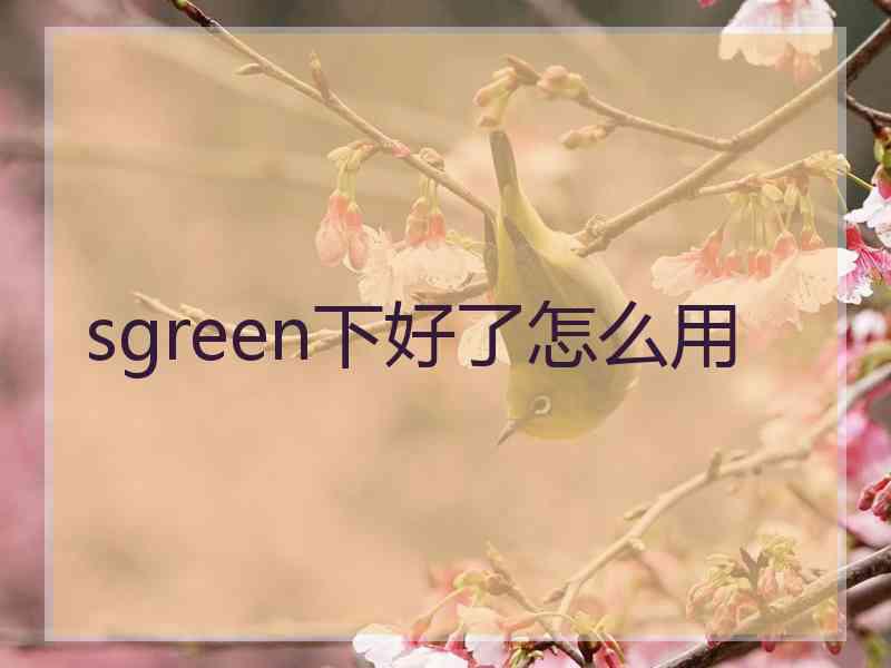 sgreen下好了怎么用