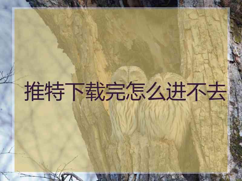 推特下载完怎么进不去