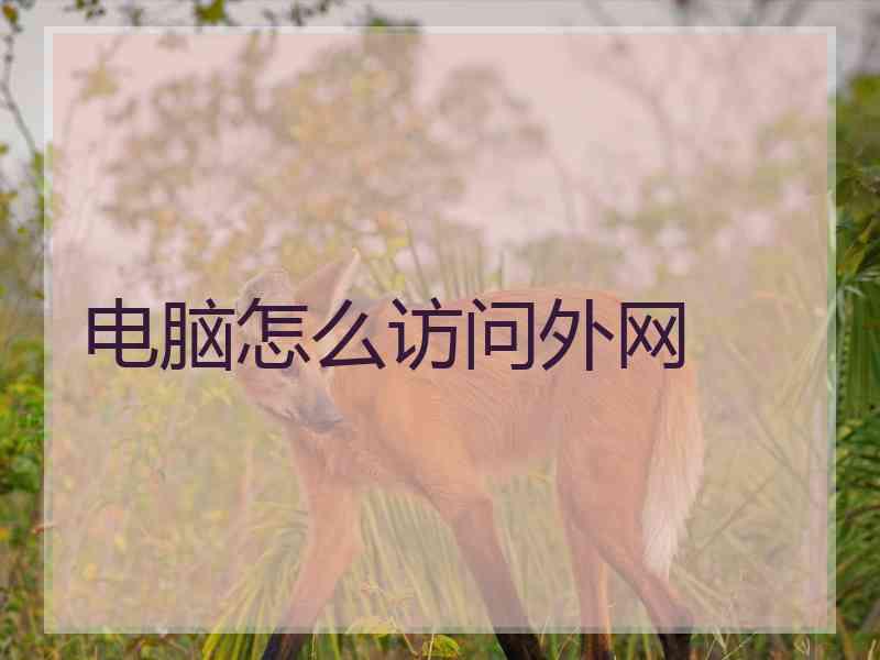 电脑怎么访问外网