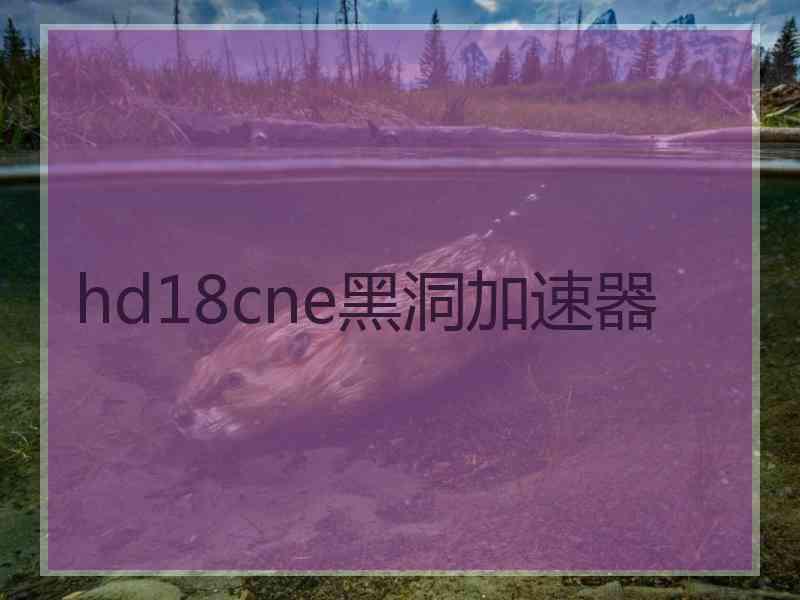 hd18cne黑洞加速器