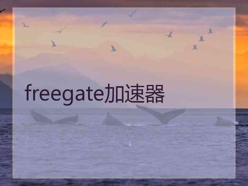 freegate加速器