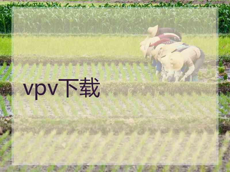vpv下载