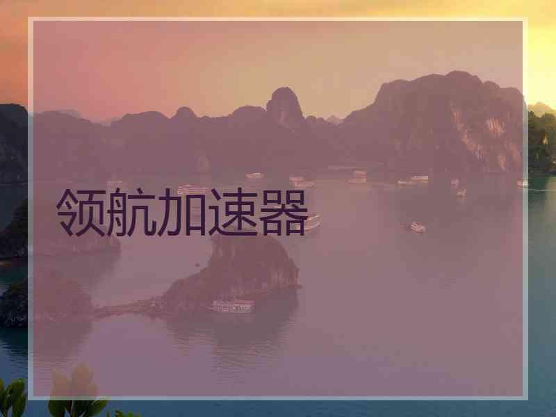领航加速器