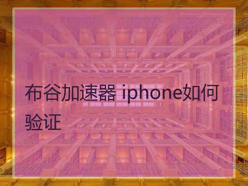 布谷加速器 iphone如何验证
