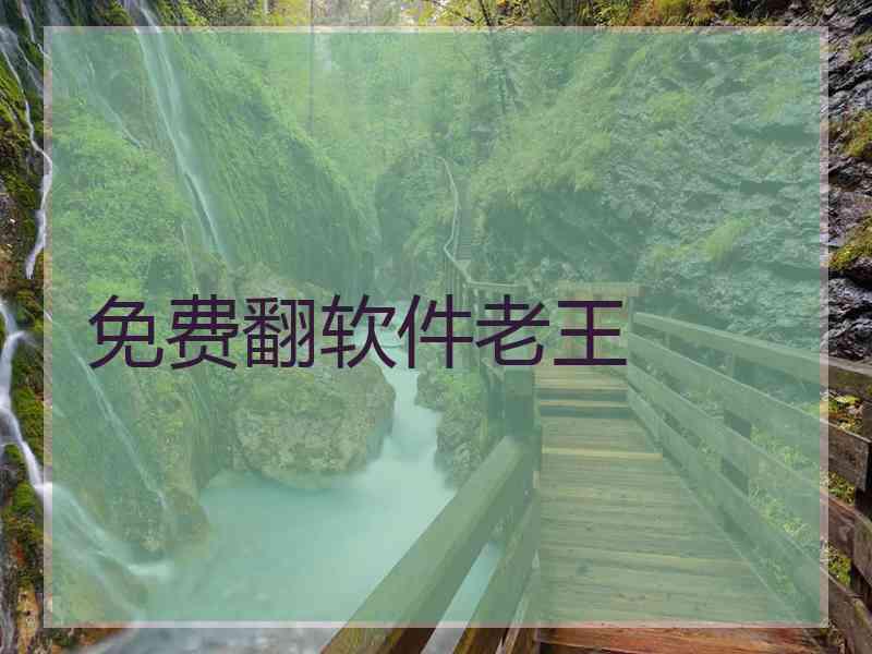 免费翻软件老王