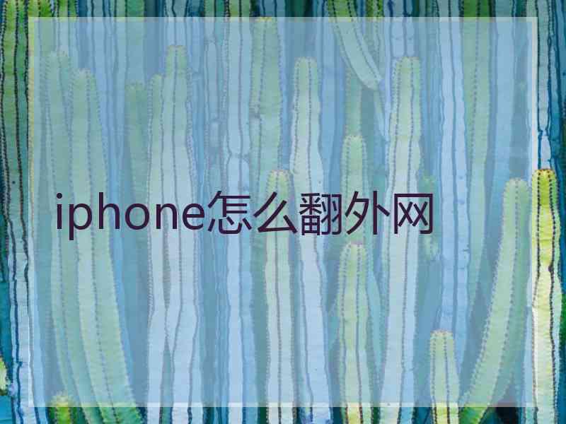 iphone怎么翻外网