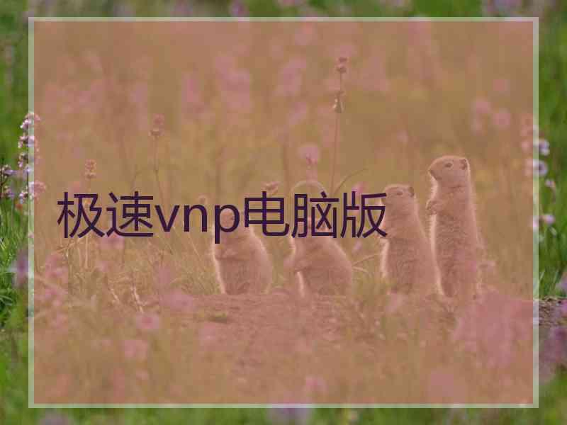 极速vnp电脑版