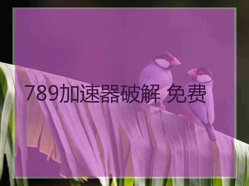 789加速器破解 免费