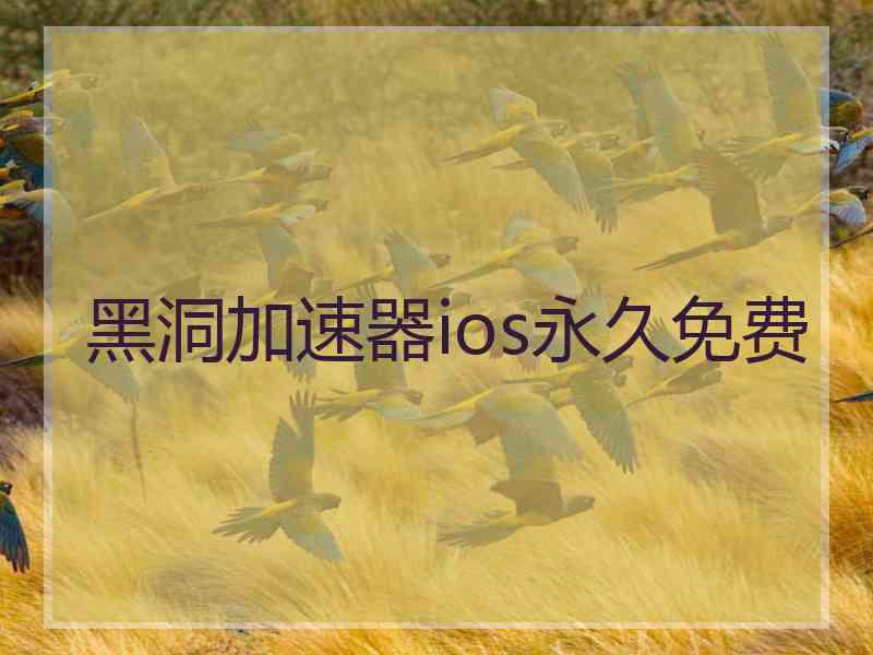 黑洞加速器ios永久免费