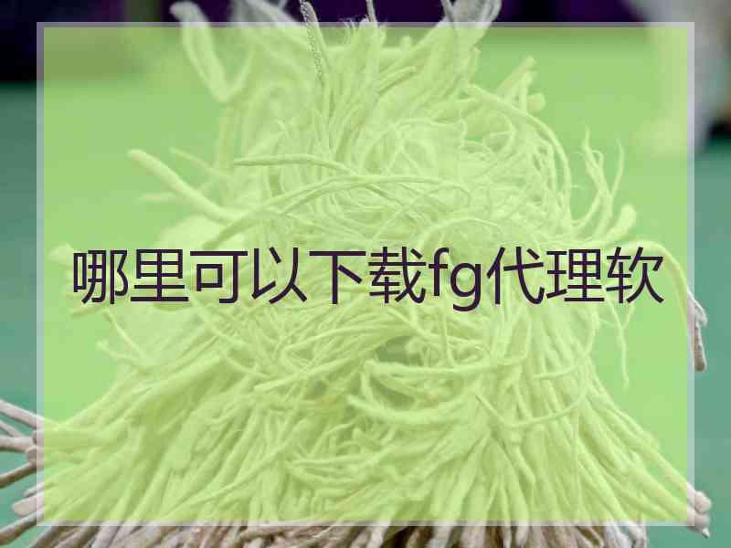 哪里可以下载fg代理软