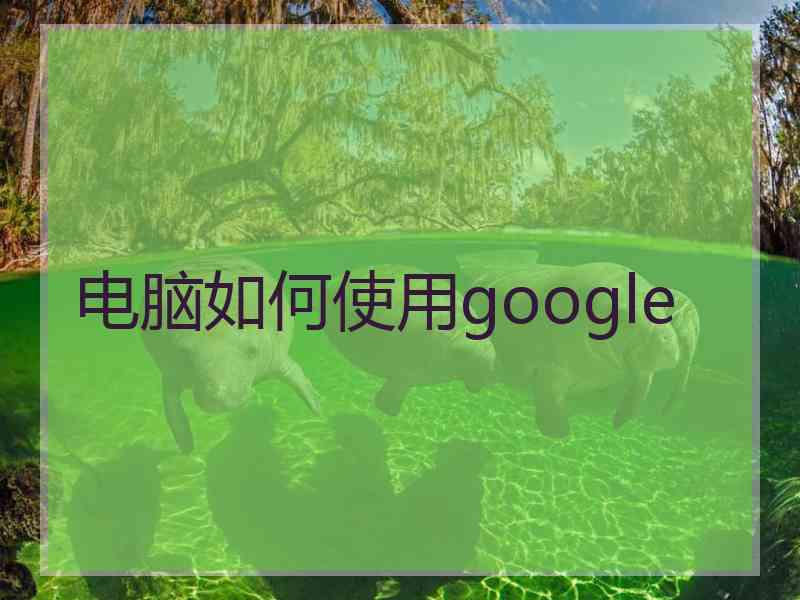 电脑如何使用google