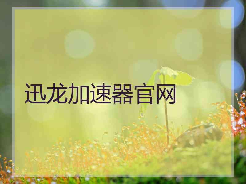 迅龙加速器官网