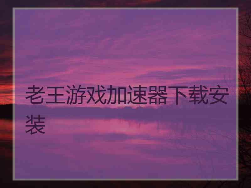 老王游戏加速器下载安装