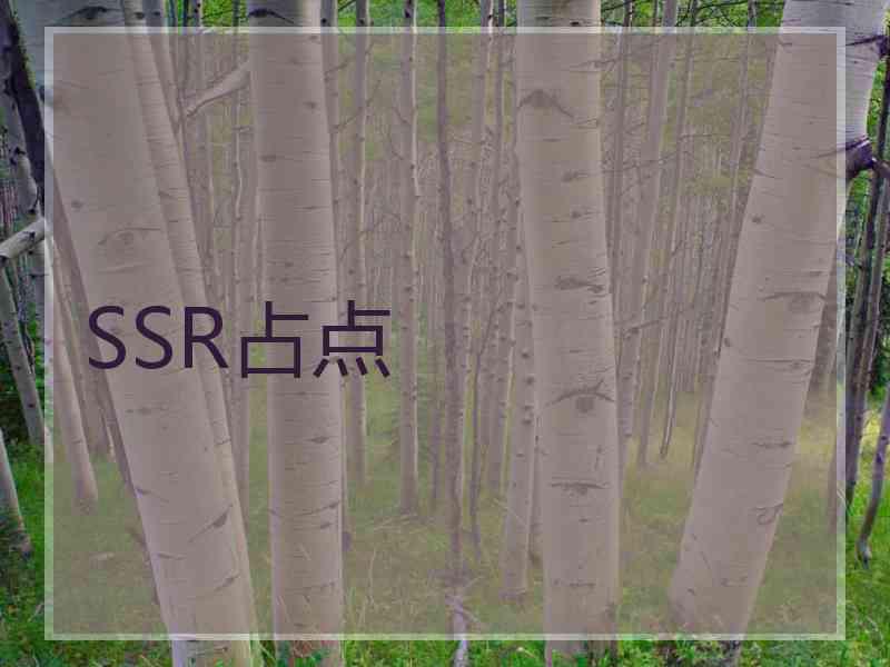 SSR占点