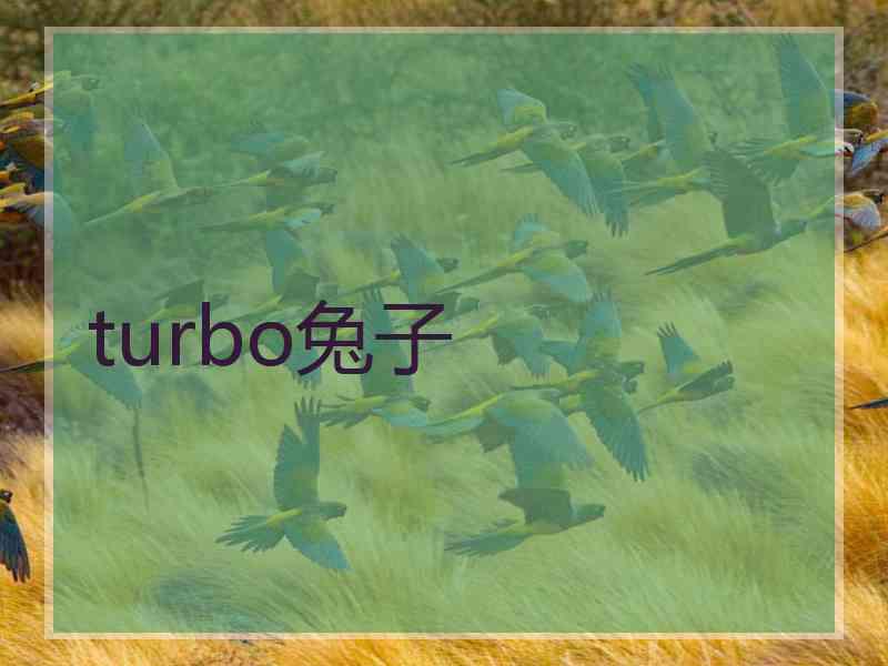 turbo兔子