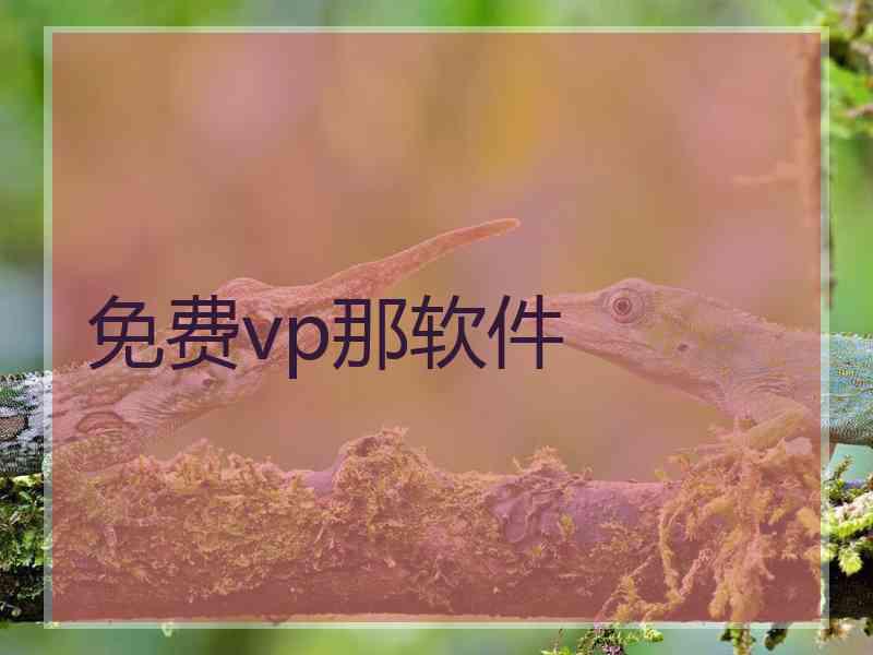 免费vp那软件