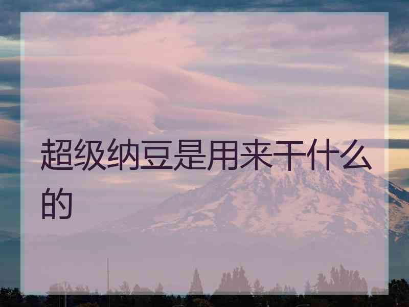 超级纳豆是用来干什么的
